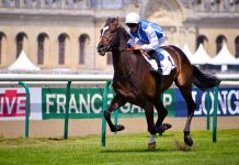 CQS have taken the decision to retire from the Caribbean race
